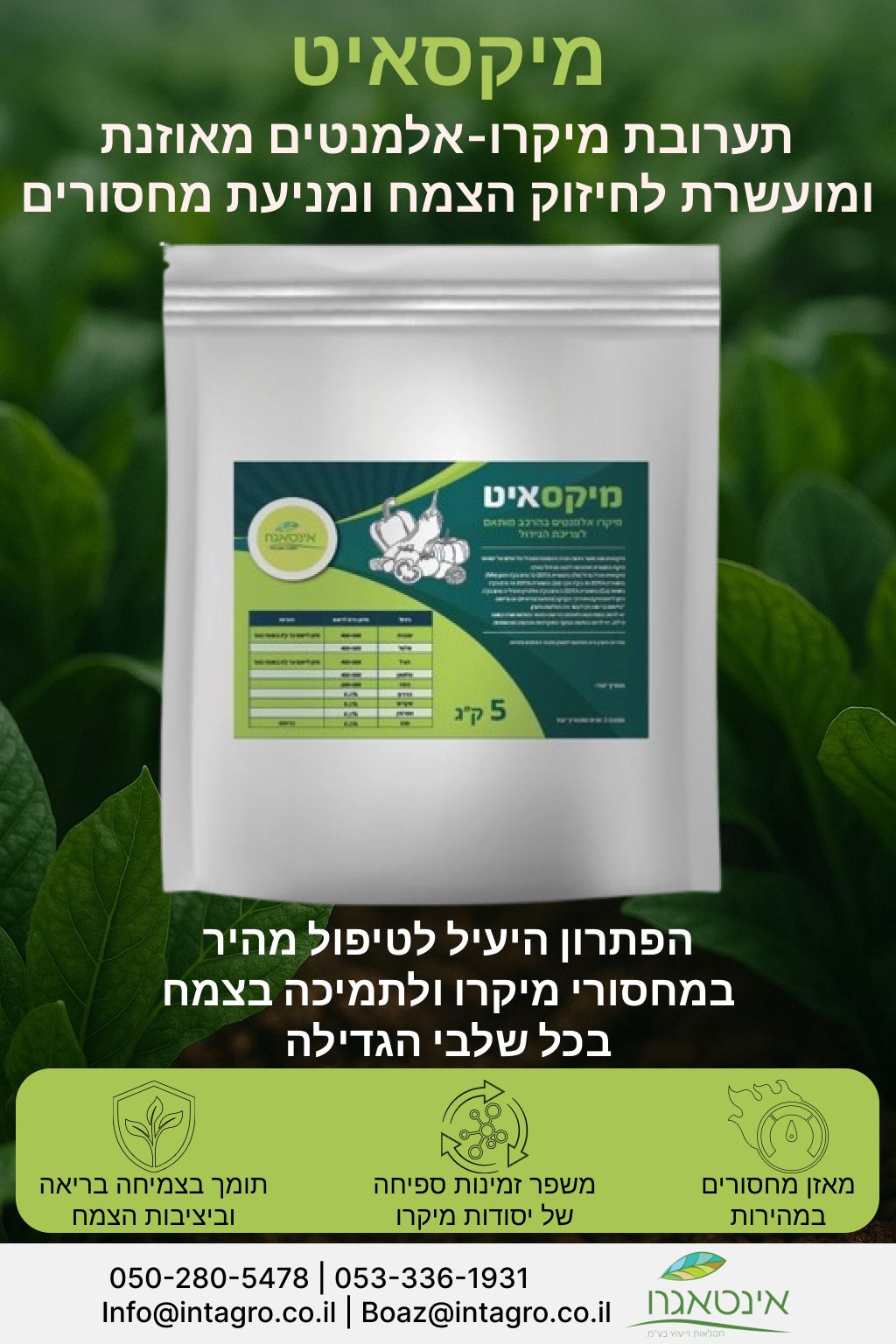 מיקסאיט – תמונה 3