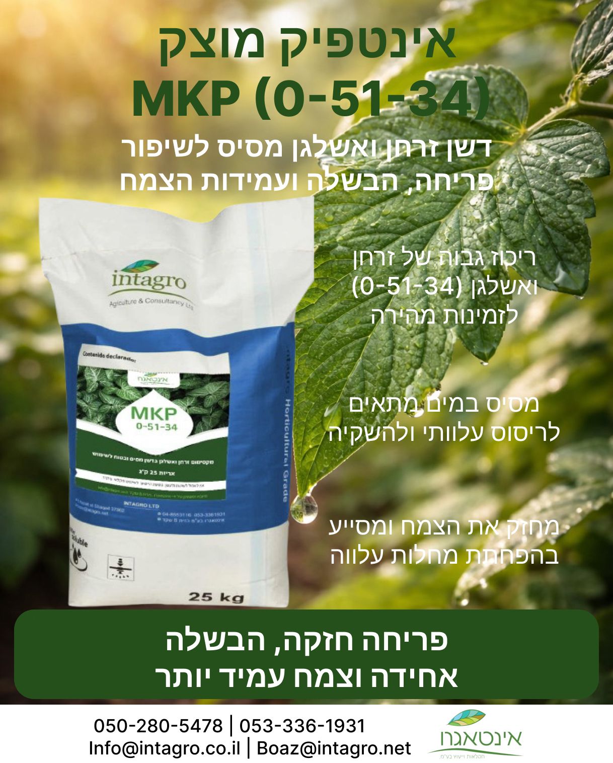 אינטפיק מוצק (MKP) - דשן גבישי מסיס במים - אריזת 25 ק"ג – תמונה 2