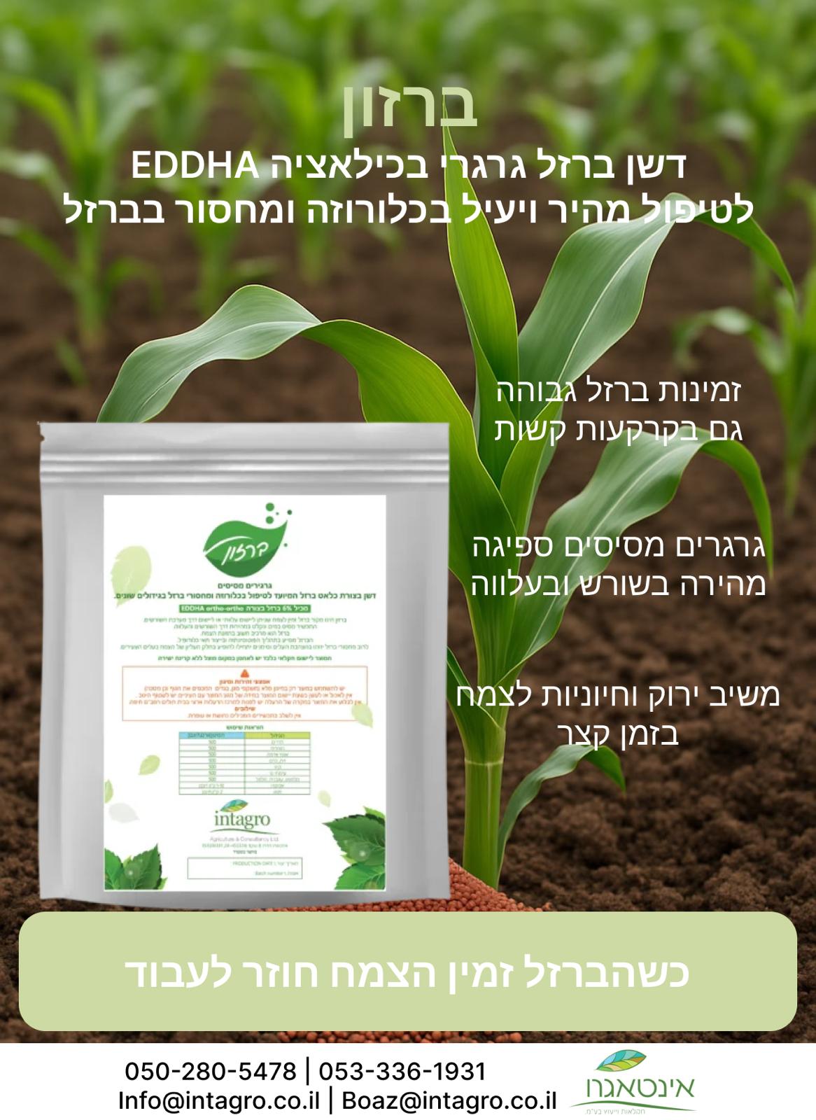 ברזון - תוסף בתצורת דשן גרגרי לטיפול במחסור ברזל לצמחים - אריזת 1 ק״ג – תמונה 3