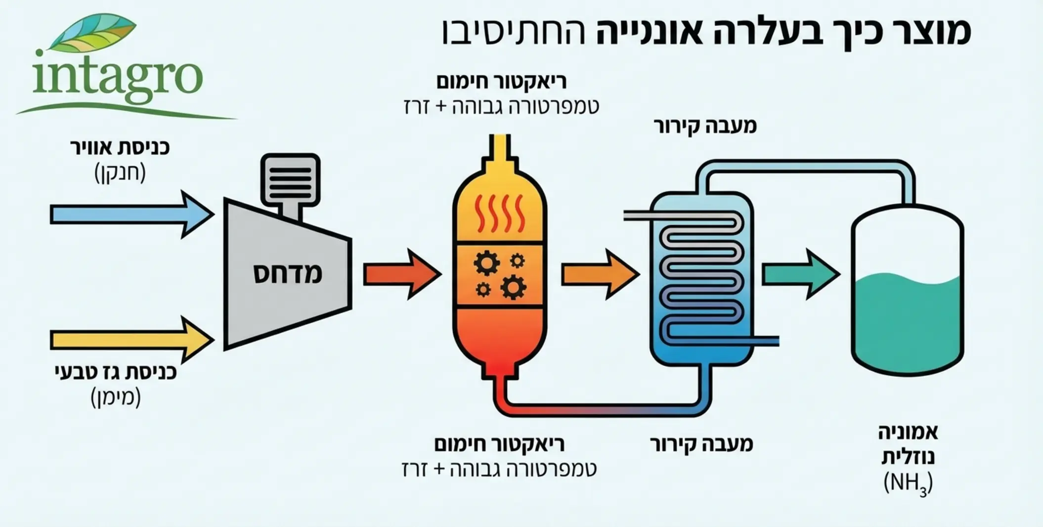 אינפוגרפיקה המציגה את שלבי תהליך האבר בוש: כניסת אוויר וגז טבעי, דחיסה, ריאקטור חימום, קירור ויצירת אמוניה נוזלית