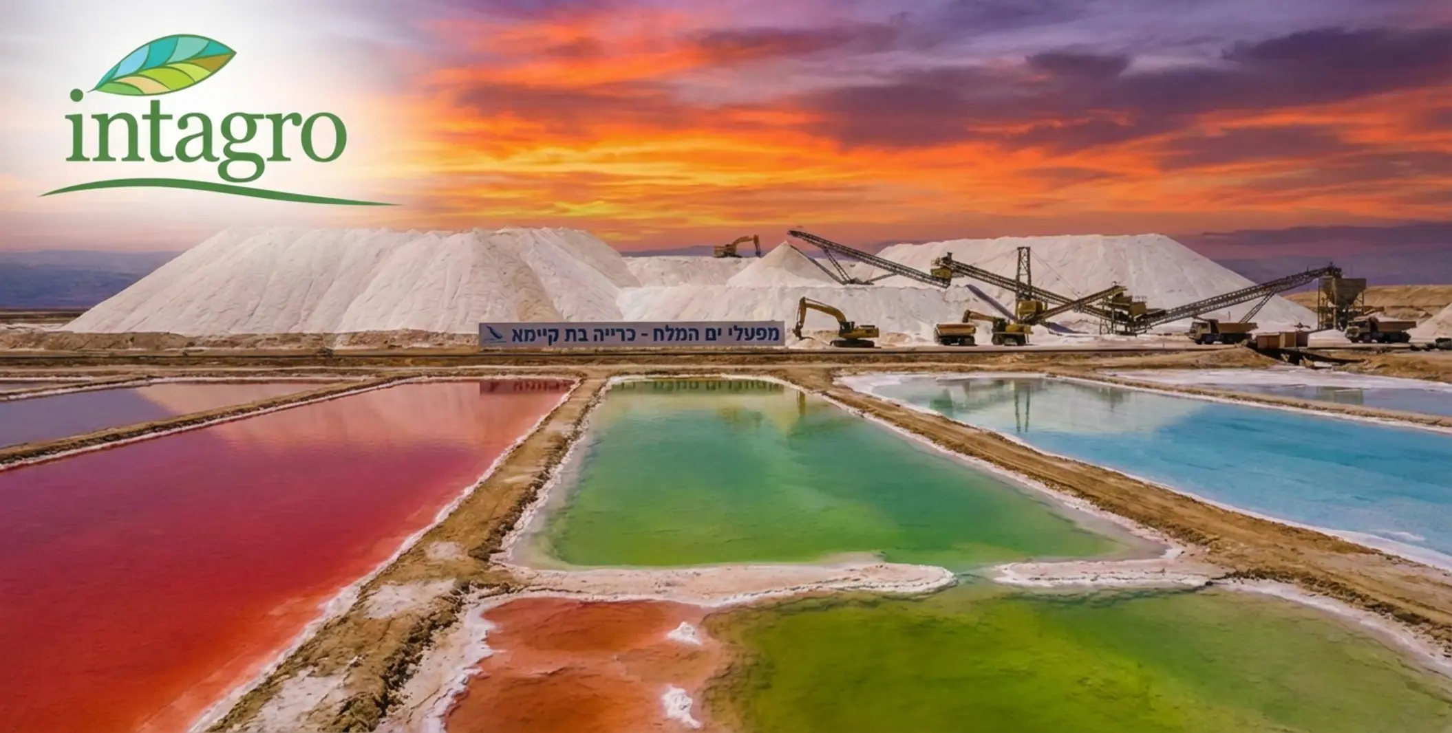 תמונה פנורמית של בריכות האידוי בים המלח עם הררי מלח לבן ברקע וציוד כרייה מודרני