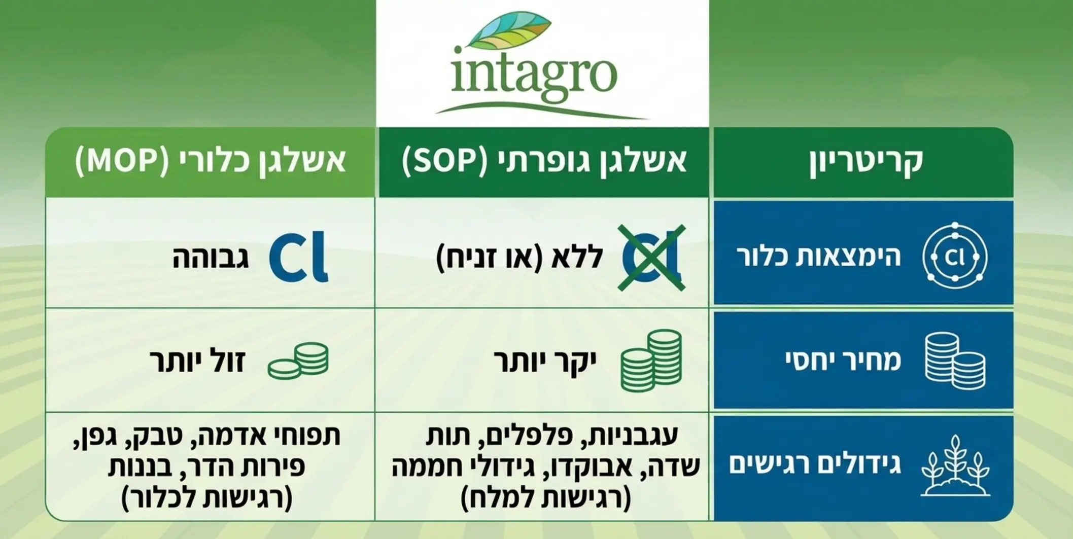 טבלה גרפית מעוצבת וברורה המשווה בין אשלגן גופרתי לאשלגן כלורי, הכוללת קריטריונים להשוואה כגון מדד מליחות, הימצאות כלור, מחיר יחסי ורשימת גידולים הרגישים לכל אחד מהם