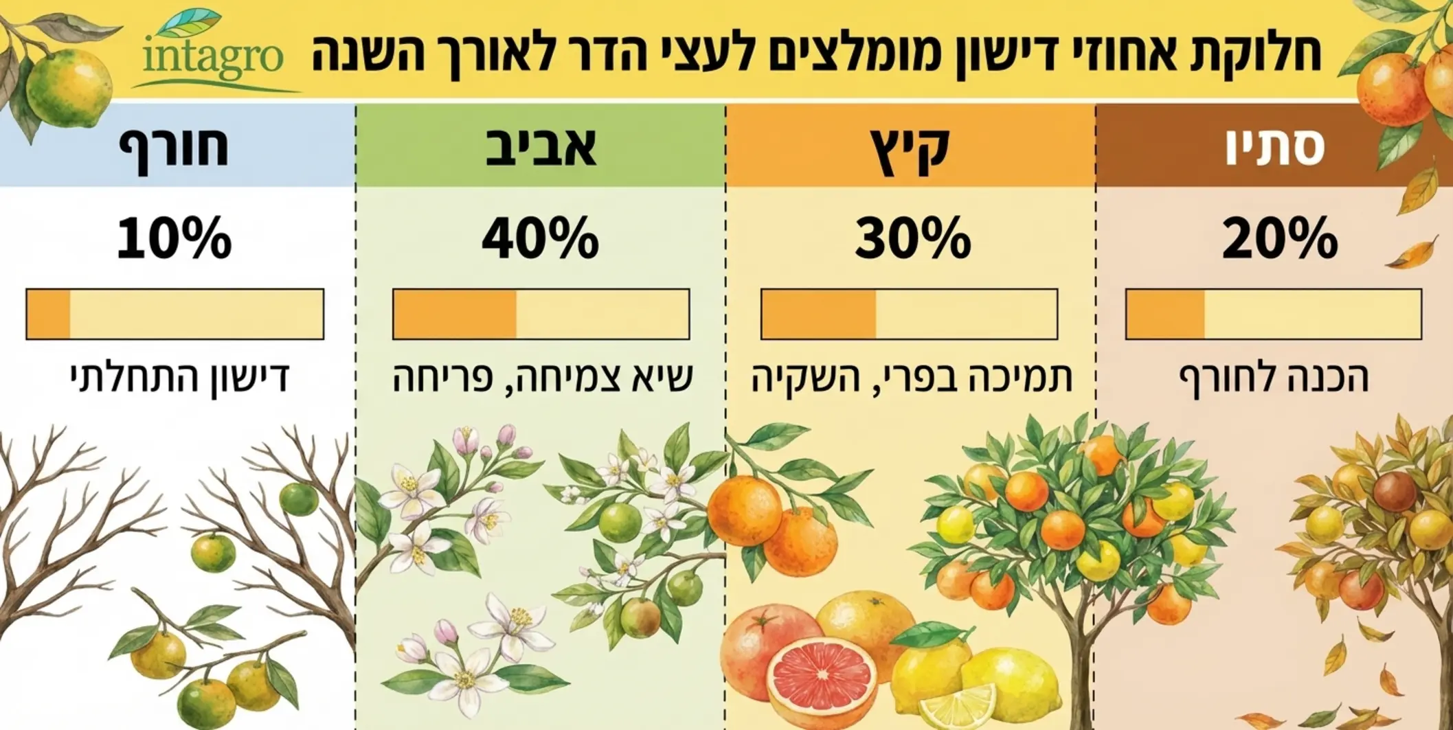 טבלה גרפית מעוצבת המראה את חלוקת אחוזי הדישון המומלצים לעצי הדר לאורך עונות השנה, מלווה באיורים של פירות הדר