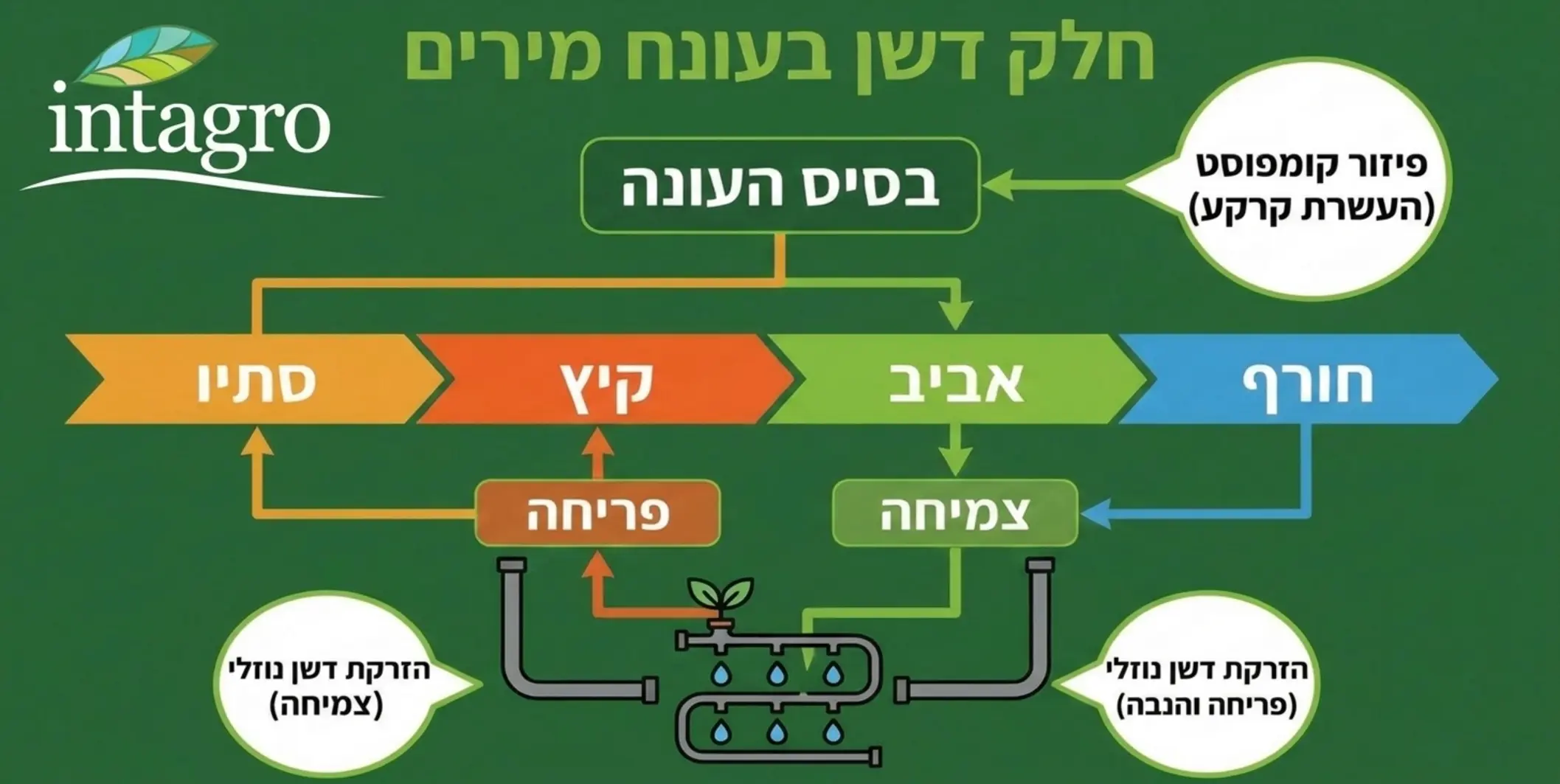תרשים זרימה המציג תוכנית דישון שנתית אופטימלית, המשלבת פיזור קומפוסט בבסיס העונה יחד עם הזרקת דשן נוזלי דרך מערכת ההשקיה בשלבי הצימוח והפריחה, מותאם לציר הזמן של עונות השנה